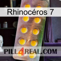 Rhinocéros 7 new11